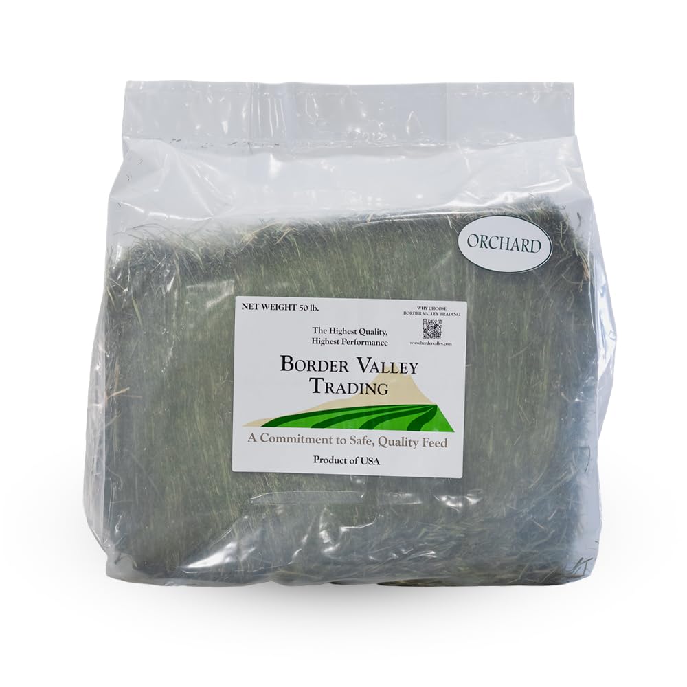 Border Valley Orchard Grass Hay Bale in Bag, 40 lb - Soft High Fiber Hay for Rabbits, Guinea Pigs, Chinchillas, Tortoises, Horses and Livestock - Leafy Grass Hay, Farm-to-Home Freshness - image 2