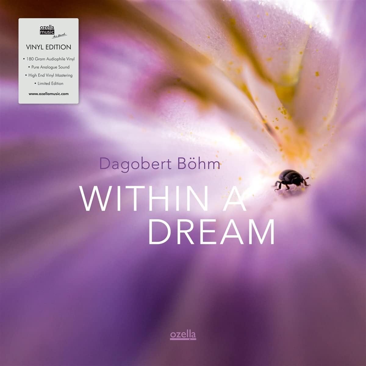 Within A Dream (LP) [VINYL]