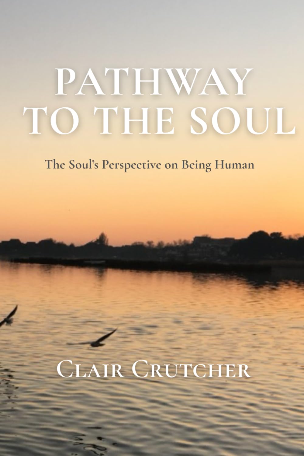 Pathway to the Soul: The Soul's Perspective on Being Human