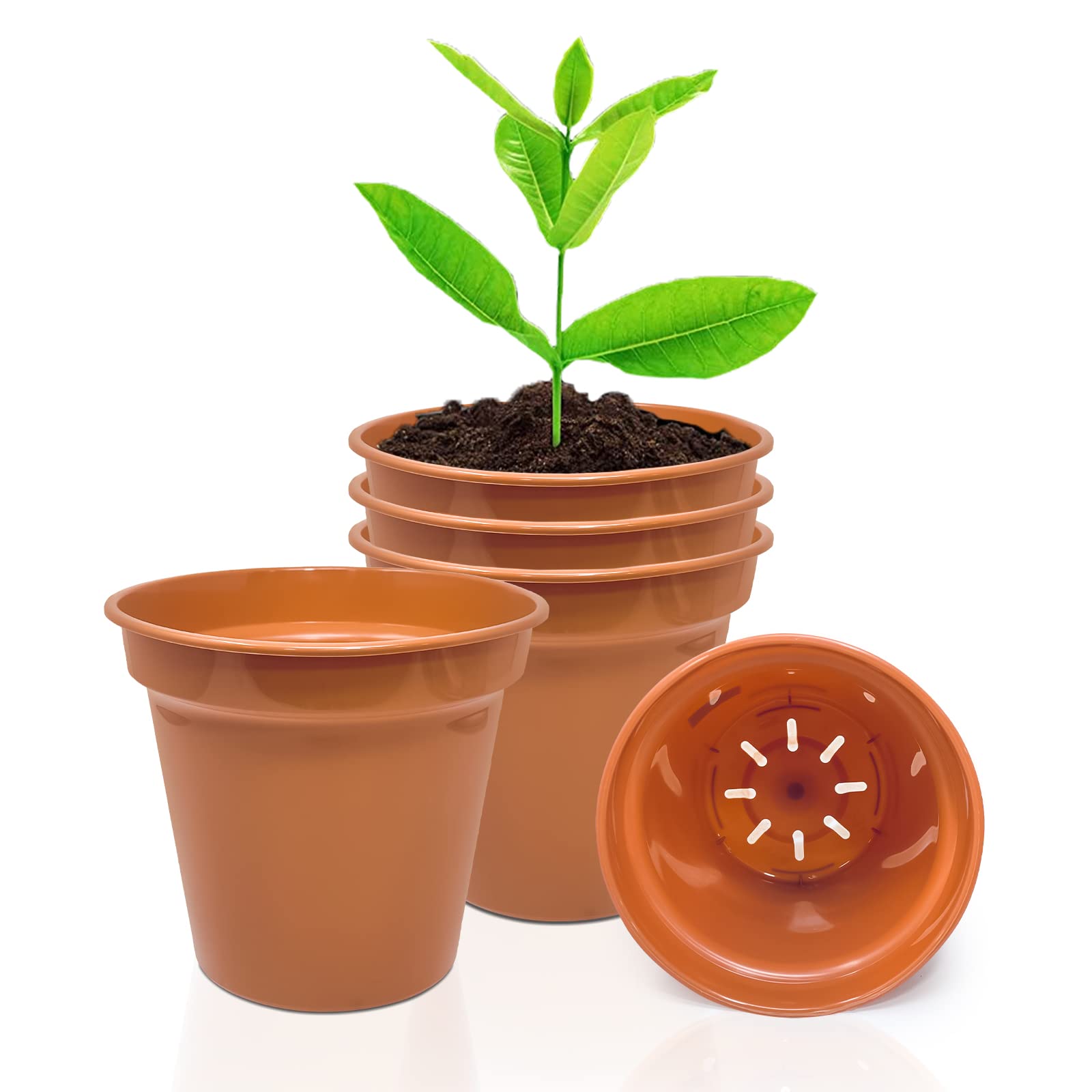 WINSOME 5 Inch (Pack of 5) Terracotta Plant Pot with Drainage Holes, Indoor & Outdoor Plant Pot, Decorative Planter for Herbs, Flowers, Succulents & Repotting