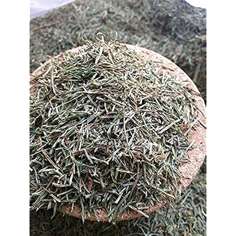 Organic Bio Herbs-Organic Dried Horsetail (Equisetum) 2 Oz. Cover