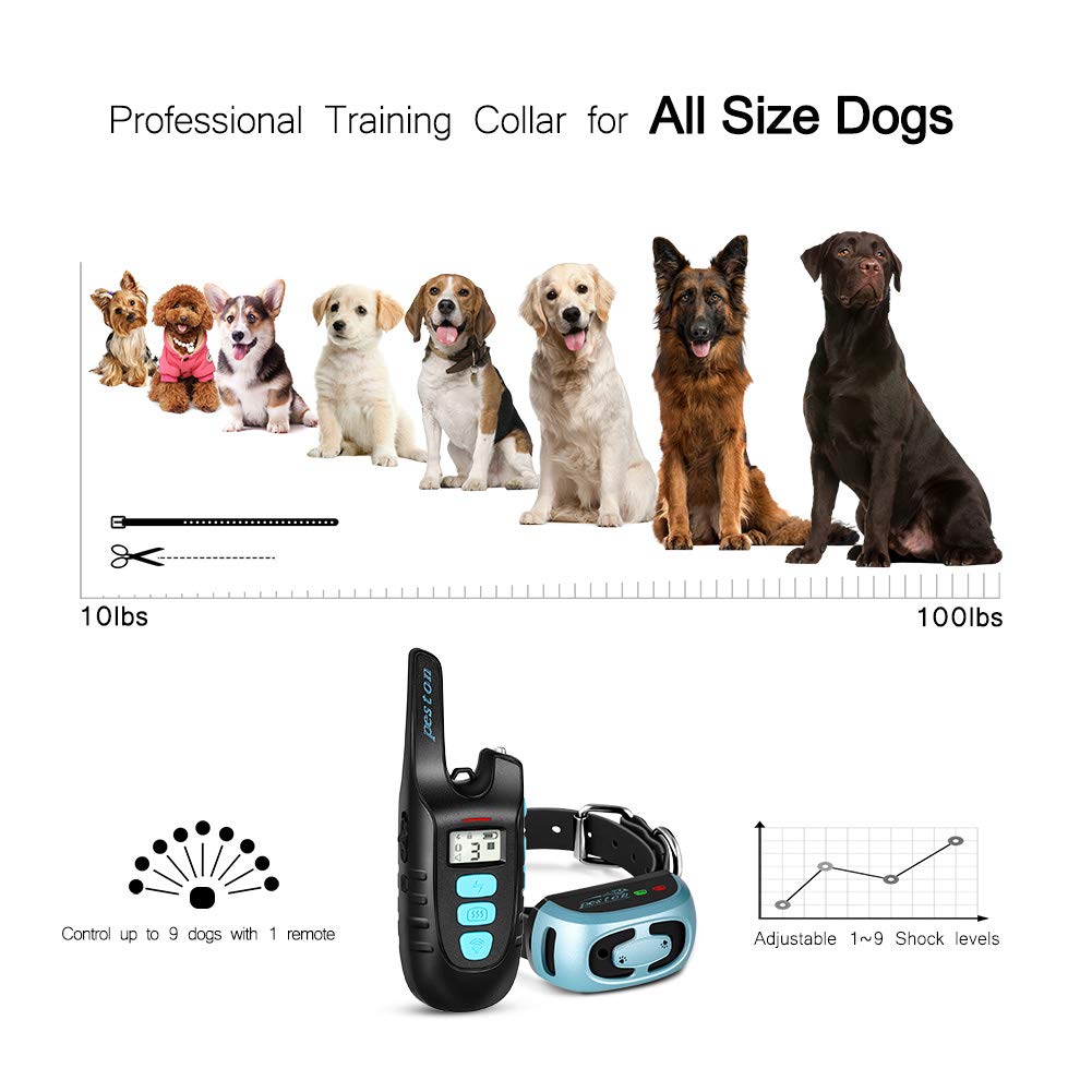 Hot peston shock collar for dogs New Arrivals