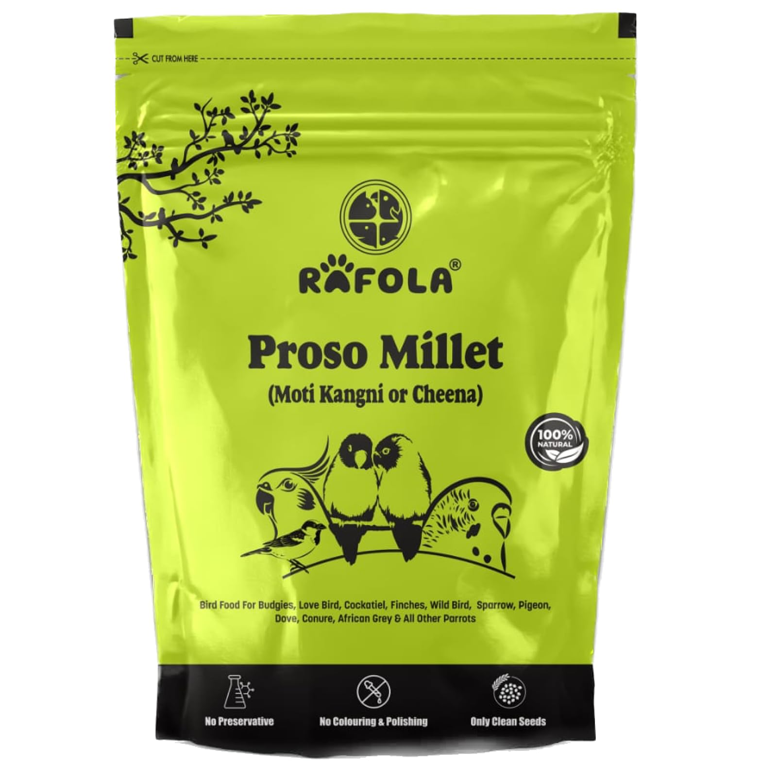 RAFOLA Proso Millet Natural Food For Birds Feed With Essential Nutrients 900Gm, All Life Stages (B0C395KFYH) Amazon Price History, Amazon Price Tracker