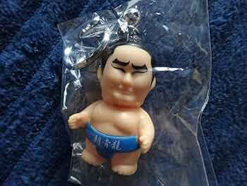 61fw4lfOtZL._AC_UF350,