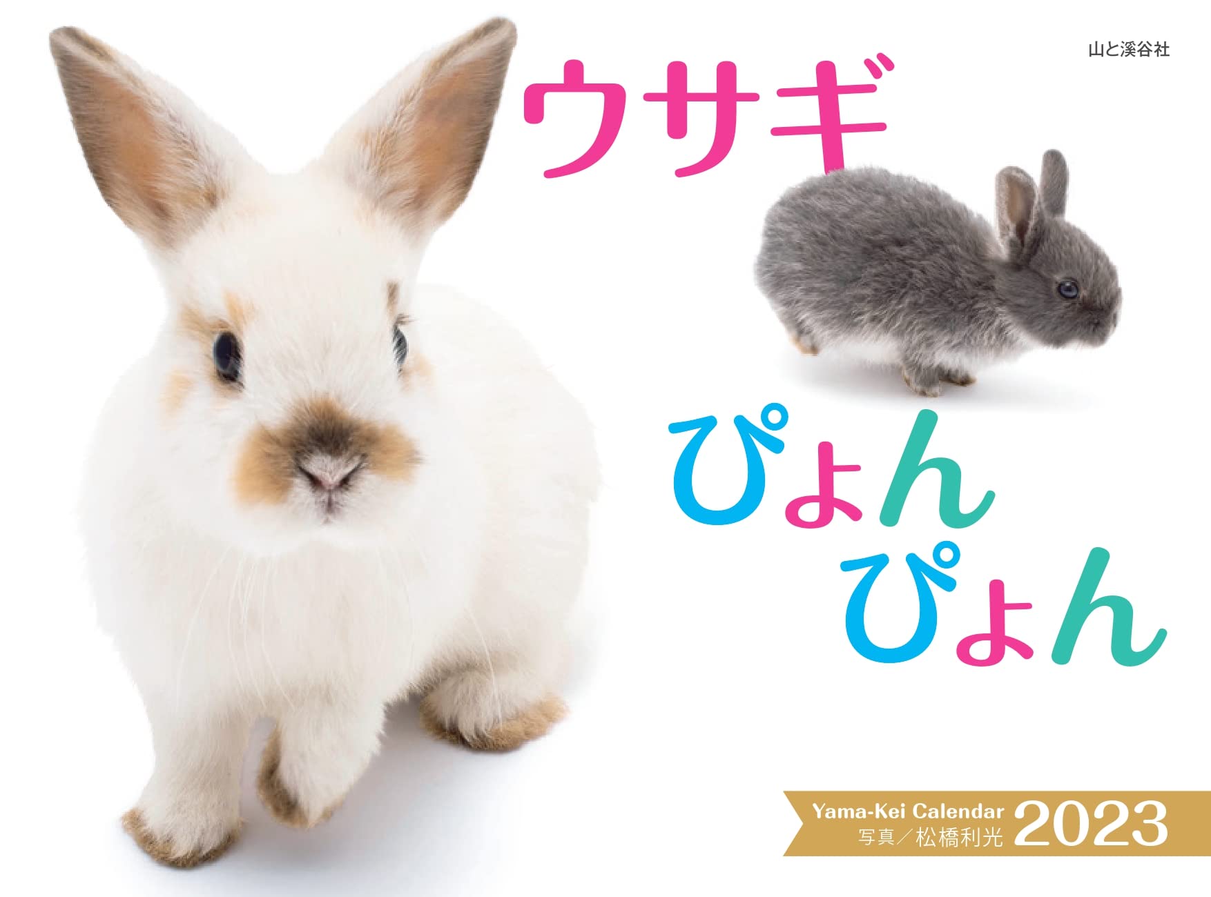 カレンダー23 ウサギぴょんぴょん 月めくり 壁掛け ヤマケイカレンダー23 松橋 利光 本 通販 Amazon