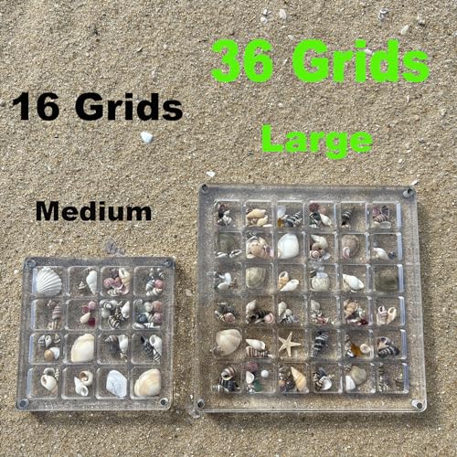 Image of Large Acrylic Magnetic Seashell Display Box,DIY Seashell Display Box,Clear Storage Box for Seashell,Gemstones,Nail,Jewelry (1Pc 36 Grids Large)