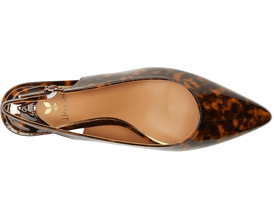 J. Renee Ferryanne - Top View