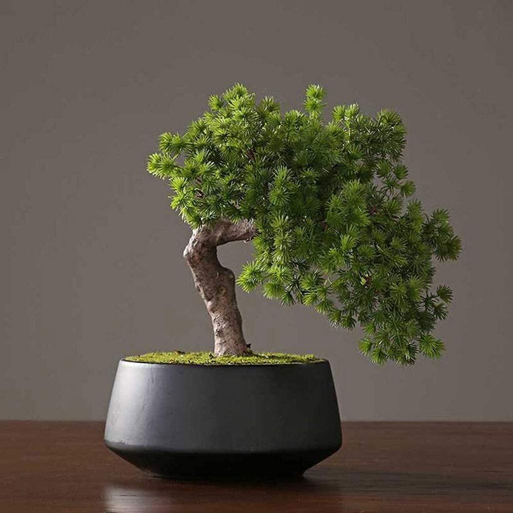 CAFIEDR Simulation Yingbin Pine Artificial Bonsai Tree Chinese-Style Home Living Room Office Porch Green Value Ornaments.