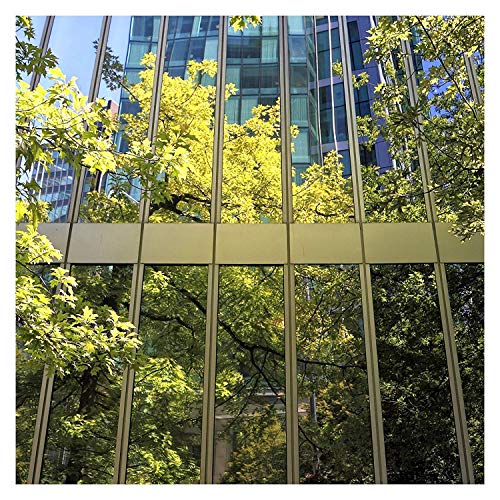 Window Film Privacy One Way Window Reflective Film Sun Blocking, Heat Control And Anti Uv Adhesive Mirror Window Tint For Home And Office, 60Inch X 17.7Inch, Silver #TOP6