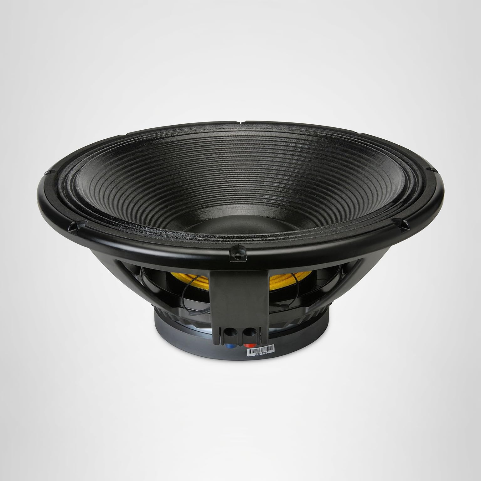 Amazon.com: RCF L18P400 Professional Car and DJ Low Frequency 18