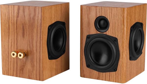 Parts Express Passive Aggressive Mini Speaker Kit Pair