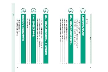 國文學の文献学的研究 中国医書の文献学的研究(浦山きか 著) / 叢文閣書店 / 古本