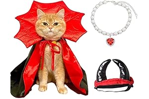 *Halloween Ghost Cat Costume* for All the Spooky Fun!