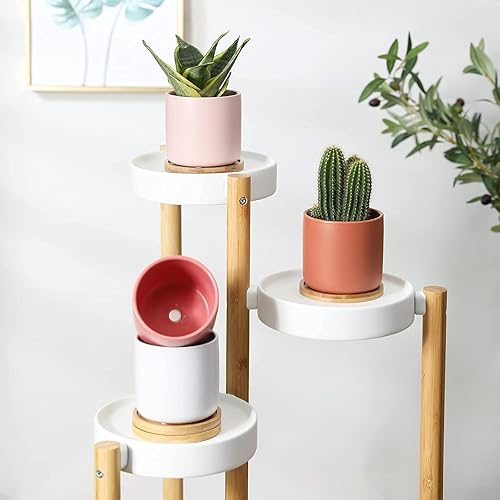 Miniatura 7 de AOMRYOM Macetas cilíndricas de cerámica blanca de 4 pulgadas con agujeros de drenaje y bandejas de bambú, maceta moderna mate para suculentas,