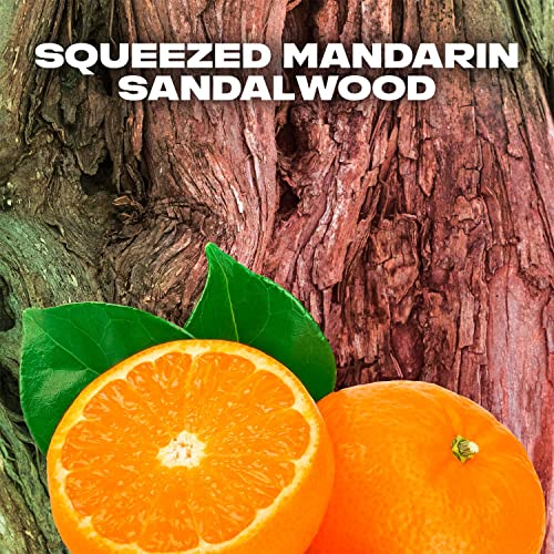 Lynx Africa Duo Gift Set 2019 full size Africa Body Spray 150ml & Africa Body Wash 250ml - Image 7