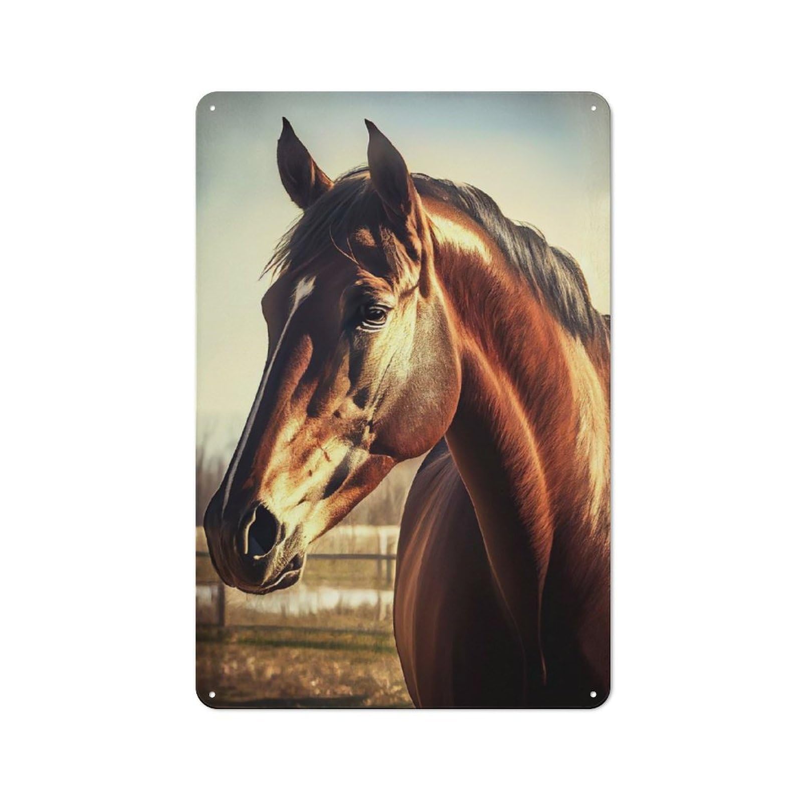 Junmoney Horse Image Garden Style Shed Metal Sign 30X20cm, Shed Wall Decor For Patio Bar, Workshop, Shed Or Kitchen
