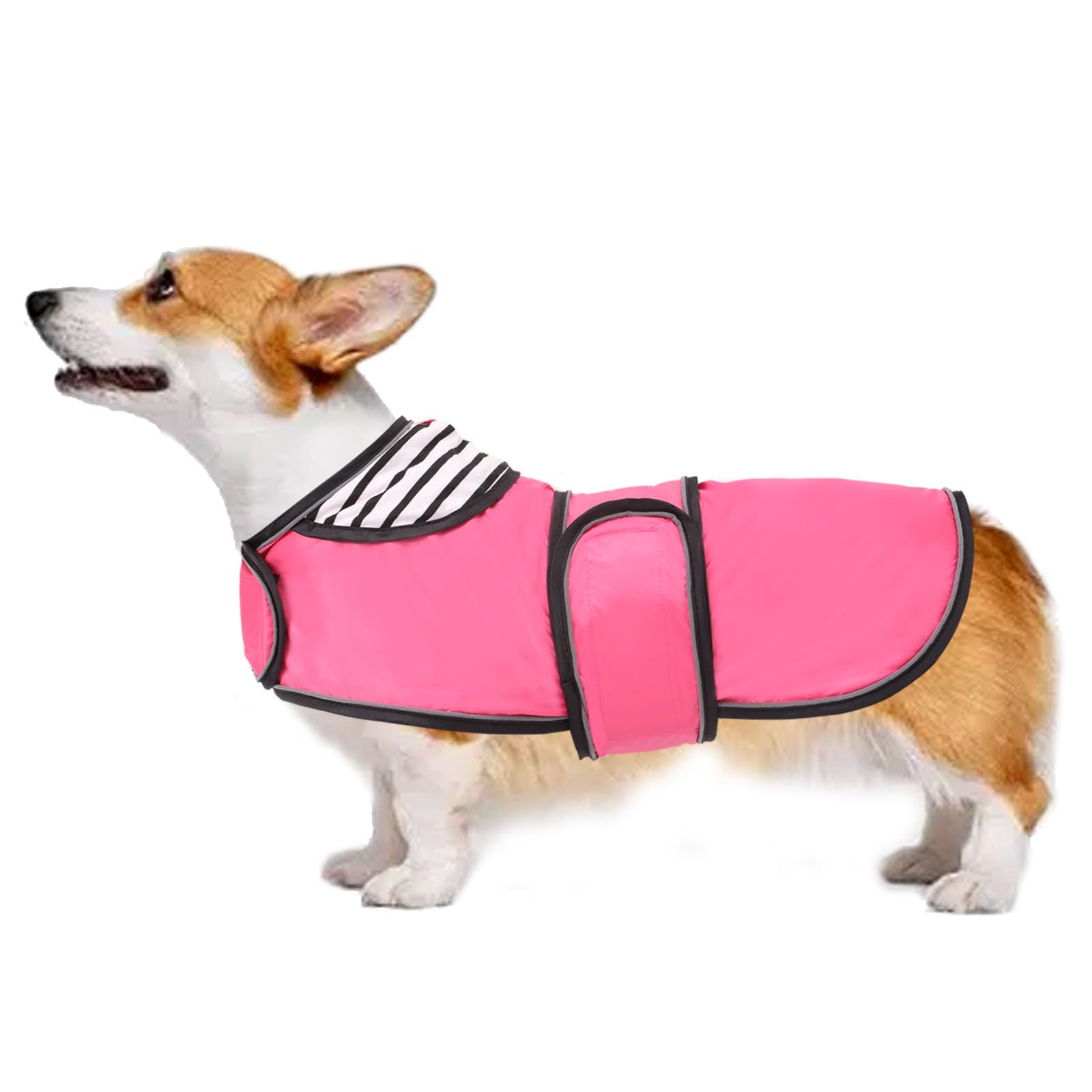 Dog raincoat corgi rain coat pet waterproof jacket fit for corgi weiner wide body long back breeds with reflective stripe great coverage pink S