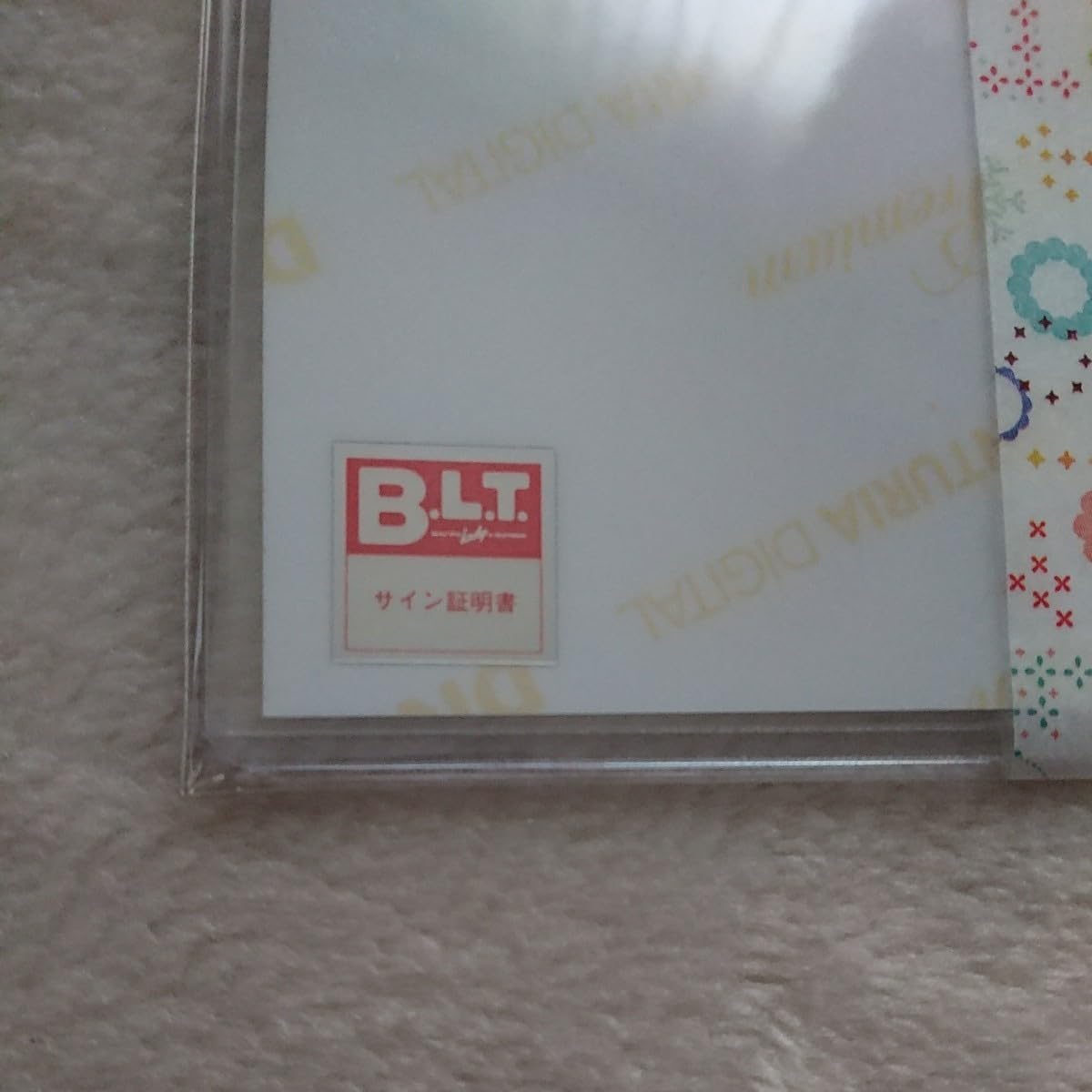 Amazon.co.jp: 待望のホンモノです乃木坂46 白石麻衣 BLT 生写真