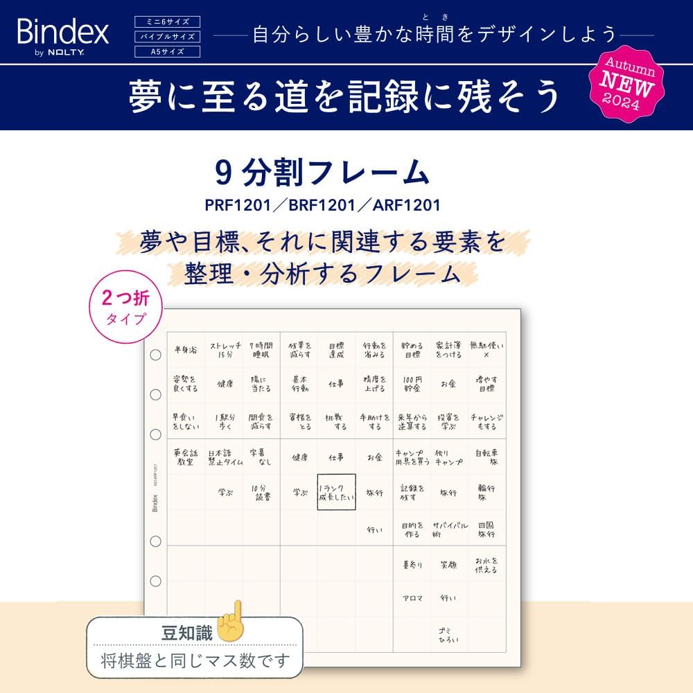 Efficiency ARF1201 Binder Refills A5 9 Split Frame