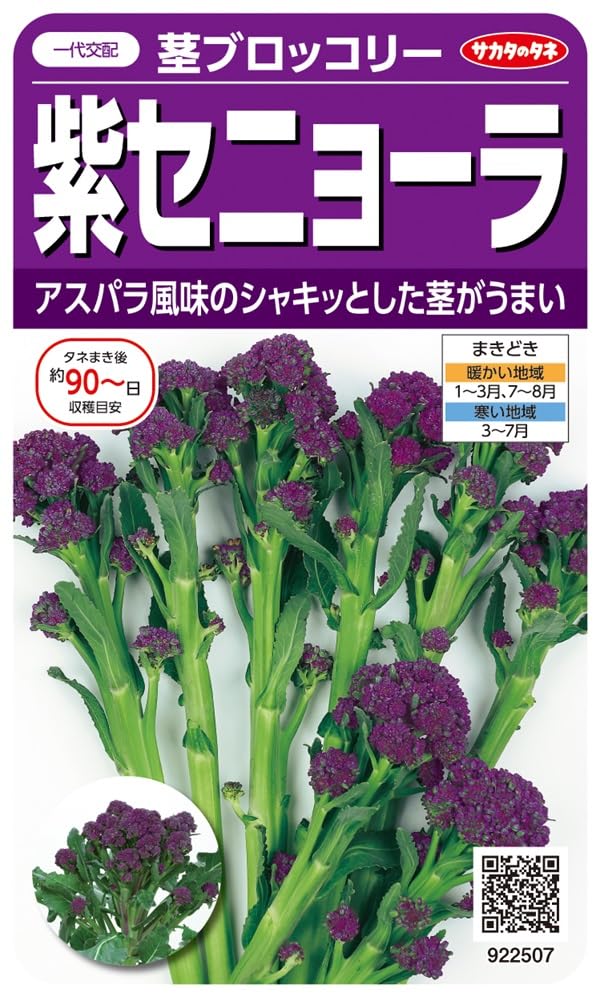 Amazon.co.jp: 種・茎ブロッコリー・紫セニョーラ : DIY・工具・ガーデン
