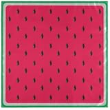 ZzWwR Summer Fresh Concept Watermelon Cloth Napkins, Set of 4 20 x 20 Inch Soft & Comfortable Polyester Dinner Napkin for Family, Restaurant, Weddings, Parties