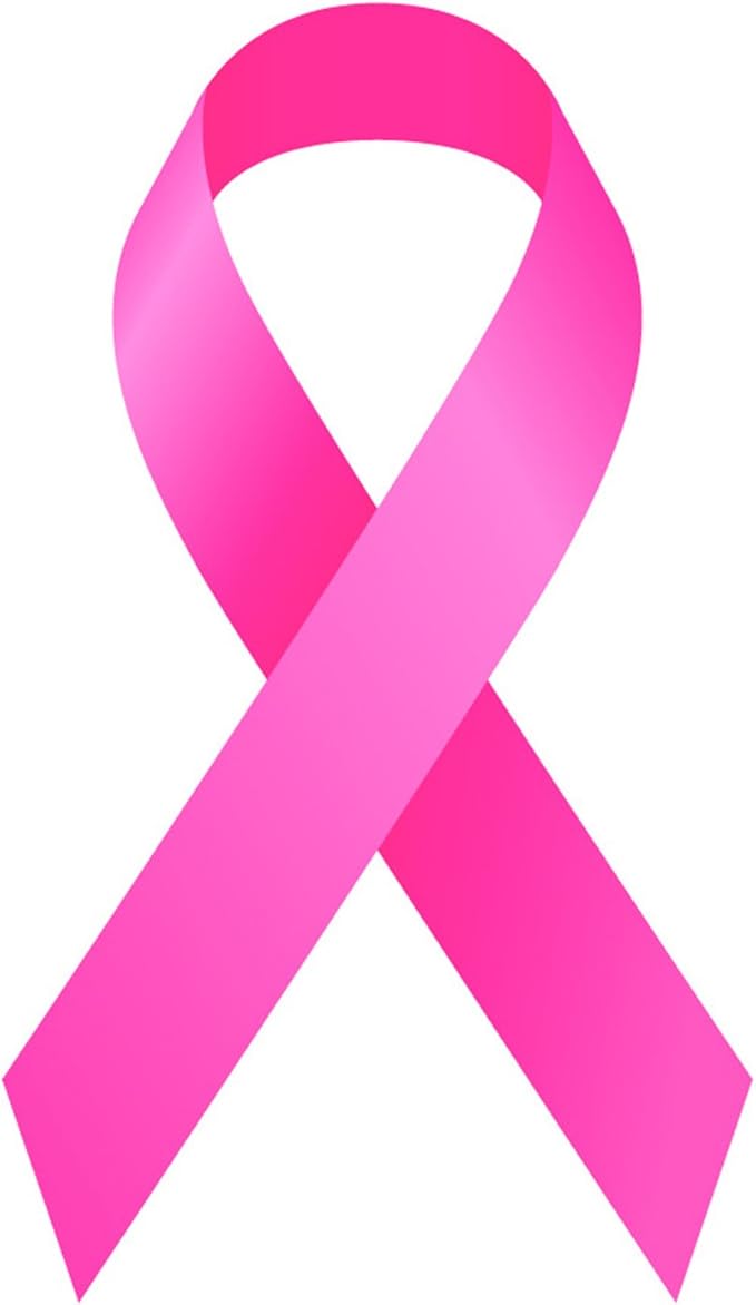 Rogue River Tactical Best Large Pink Ribbon Support Breast Cancer Awareness Survivor Auto Decal Bumper Sticker Vinyl for Car Truck Van RV SUV Boat Window Women Mom Grandmother (Single)