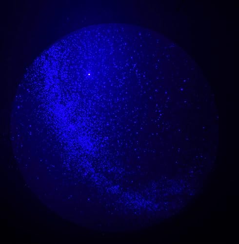 Miniatura 7 de Dark Skys Planetario de bolsillo Skyview