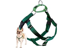 2 Hounds Design Freedom No Pull Harness: The Key to Effortless Dog Walking