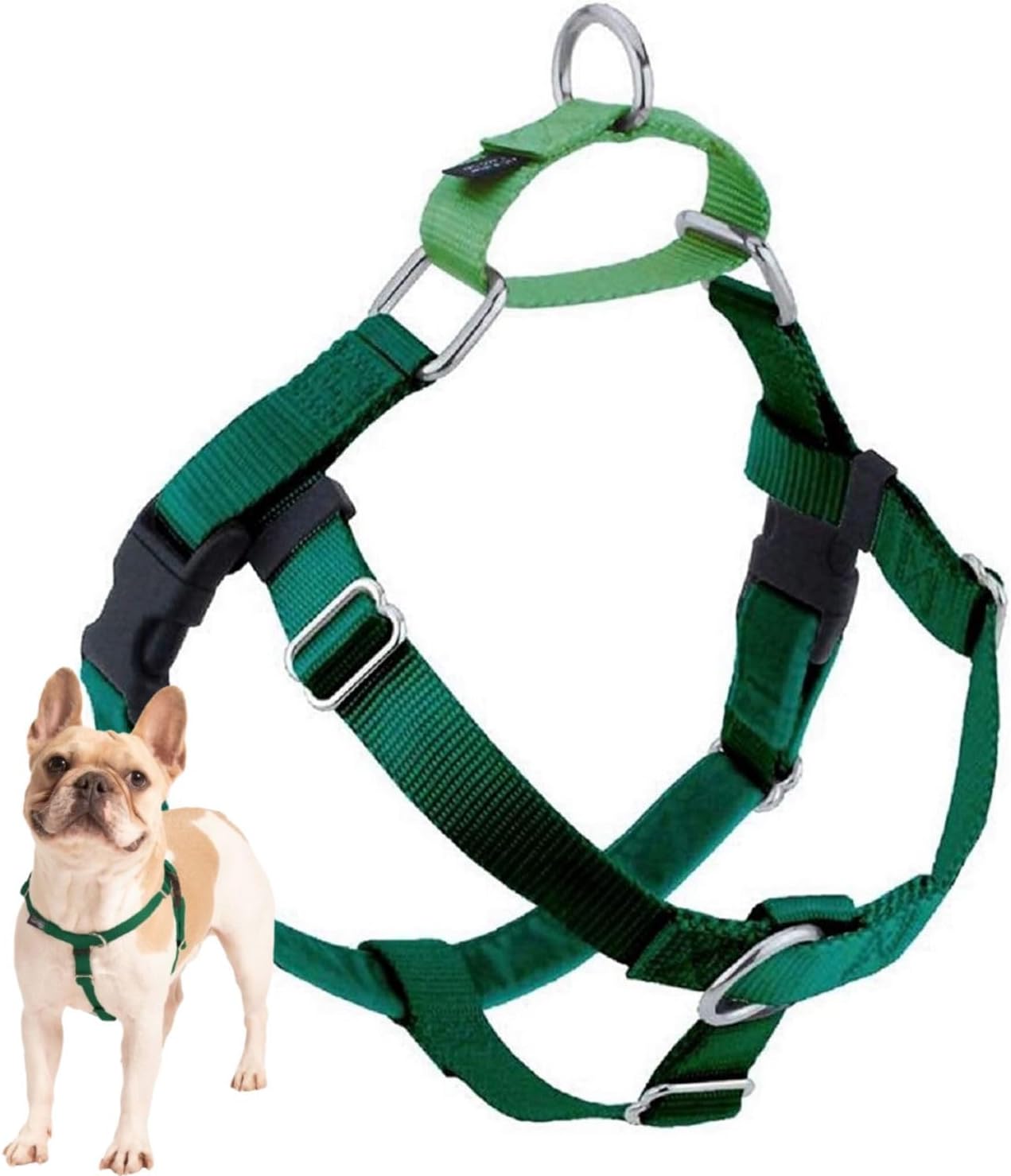 Freedom No Pull Dog Harness, Adjustable Harness, Easy Walking & Comfortable Control, Fits Small, Medium & Large Dogs, Solid Colors, Made in USA, 1" MD, Kelly Green