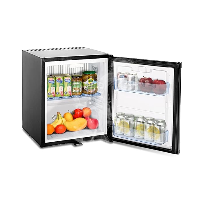 Buy Techomey Mini Fridge for Semi Trucks 1.0 Cu.Ft, Compact
