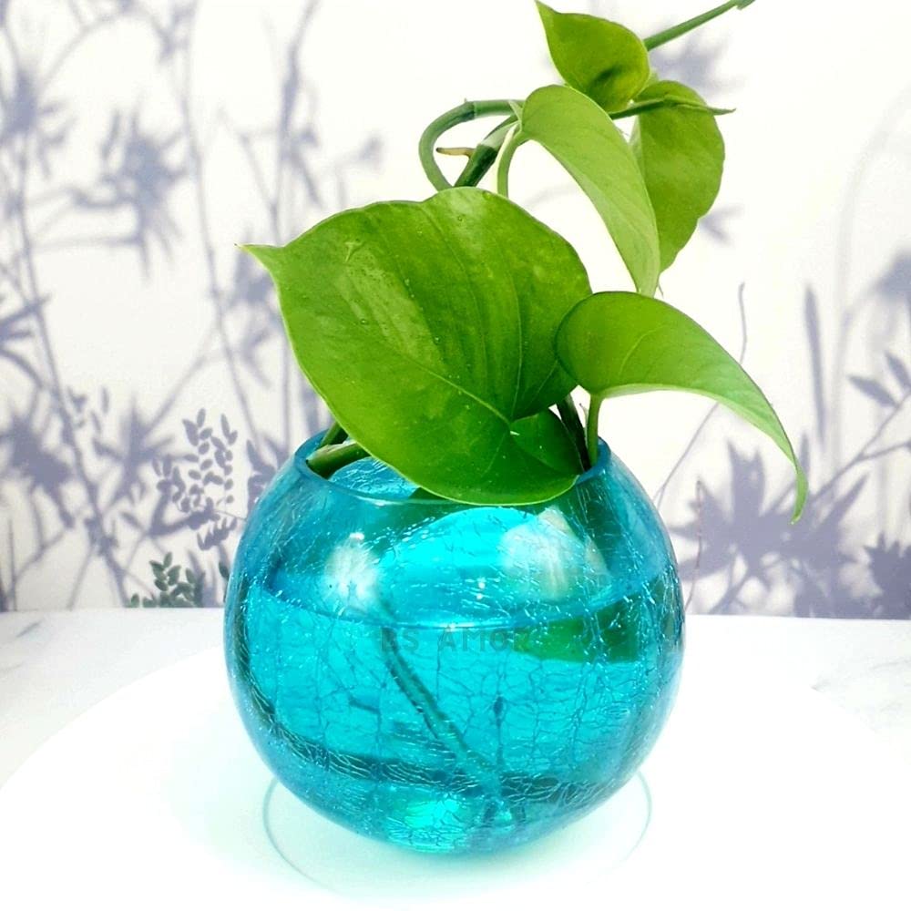 BS AMORGlass Vase Glass Flower Vase Glass Flower Pot Glass Pot Round Vase Handmade for Decorate House Artificial Flowers Money Plants Home Decor Plants Blue Colour 4x4 inch vase only