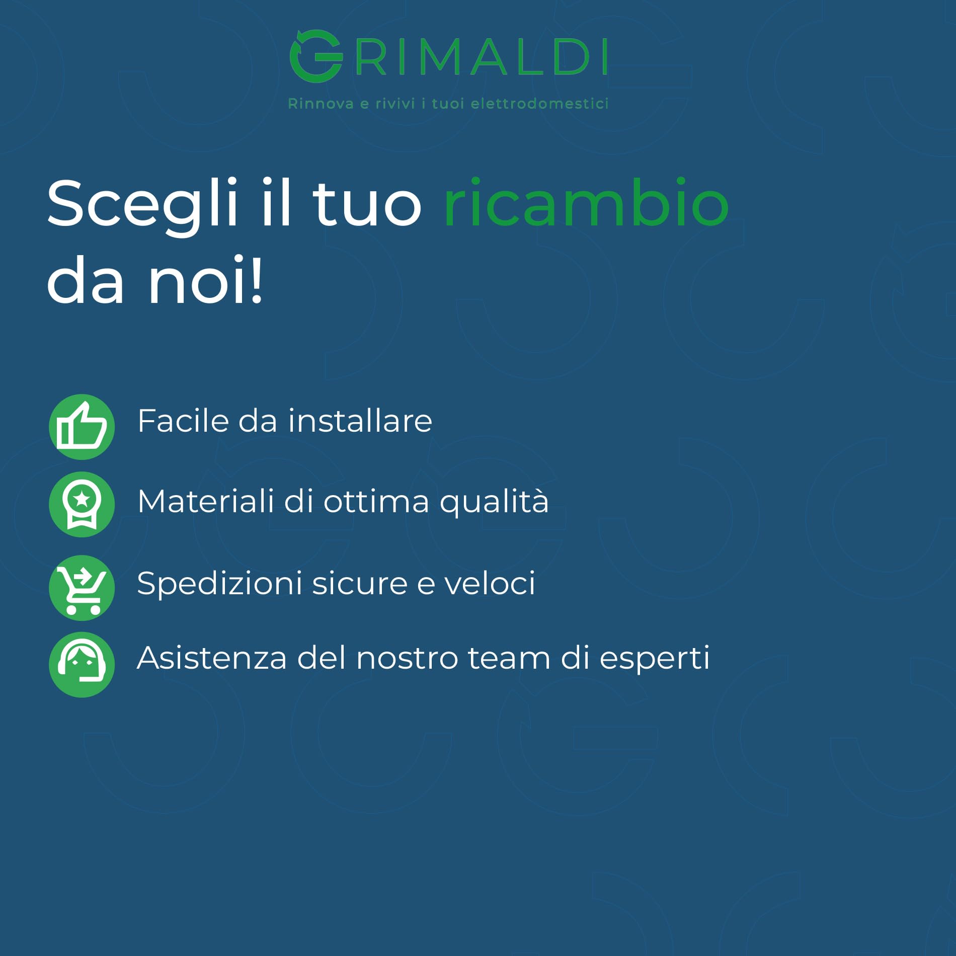 G GRIMALDI Motore Aspirapolvere 1200W Liquidi Bidoni Industriale Bistadio Autolavaggi H032