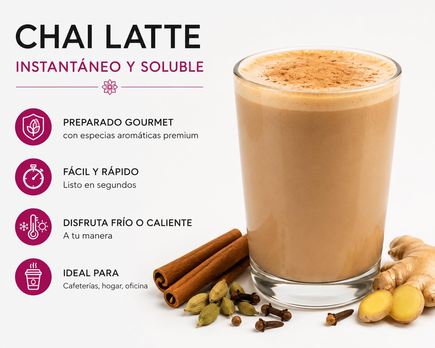 EGUIA Chai Latte en Polvo Cremoso - Pack 2x250g - Te Chai Latte Instantaneo y Soluble - Bebida Especiada Estilo Cafeteria - Preparado Gourmet con Especias Aromaticas Premium