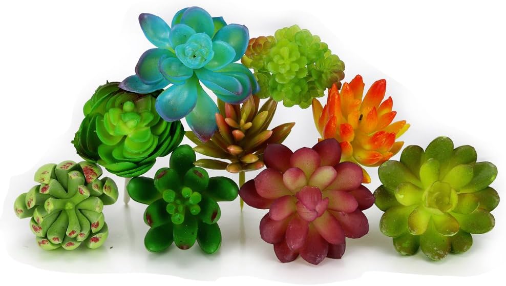 Nextnol 10pcs Artificial Succulents Plants Fake Succulents Wall Decoration DIY Materials (10 Different Kinds for Plants)