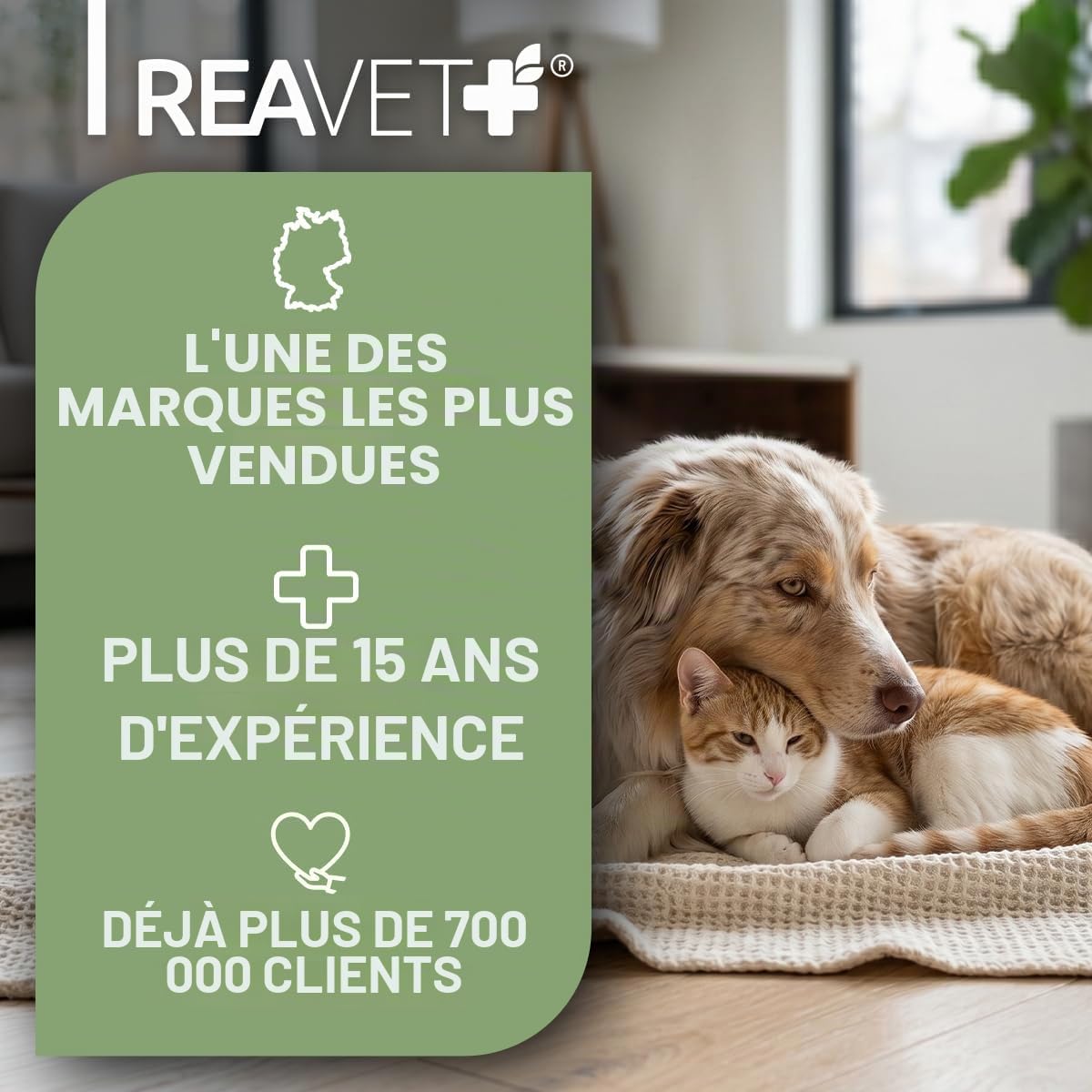 ReaVET Brosse pour chien et chat - Brosse à sous-poil pour poils longs - Pour les petites races - Élimine les sous-poils et les nœuds - Avec effet de massage et protection des poils - Brosse pour