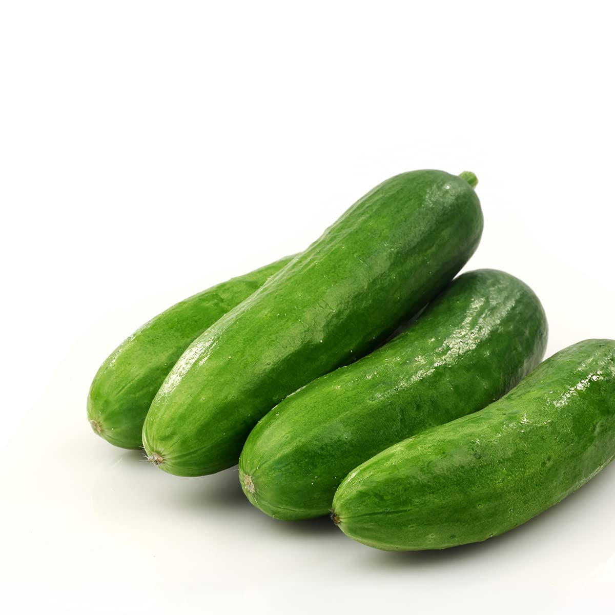 Vegetable Plants, Cucumber, 'Petita', 2 x Full Plants in 9cm Pots, Cucumber Plants, Mini Cucumbers, Garden Veg, Garden Ready Mini Cucumbers, Ready to Plant, Premium Quality Vegetables