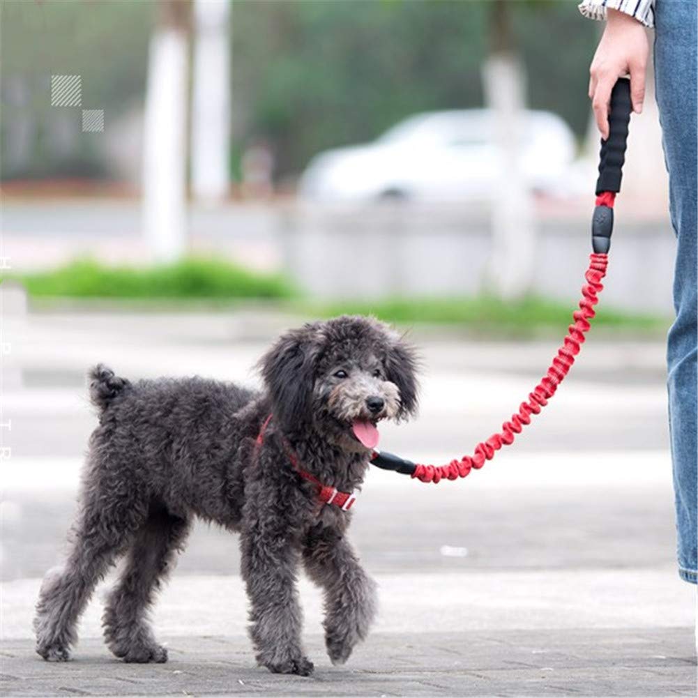 Correas Largas para Adiestramiento De Perros Correa Larga para Perros Correa De Adiestramiento para Perros Correa De Adiestramiento para Perros Correa Acolchada para Perros Correa para Perros Azul