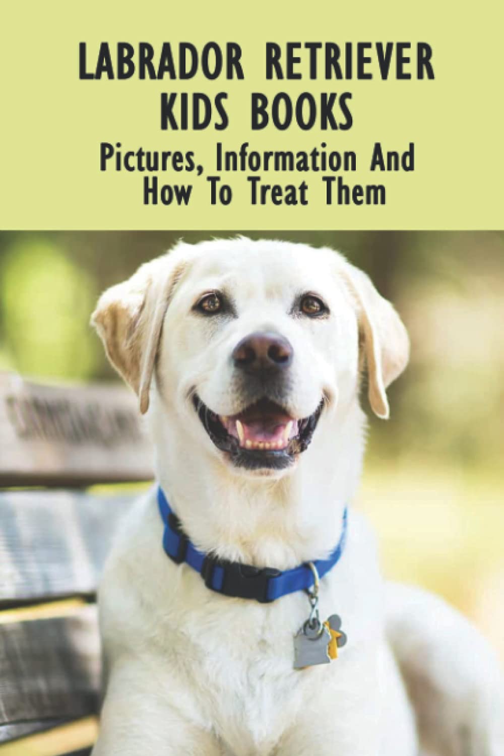 Labrador Retriever Kids Books: Pictures, Information And How To Treat Them: Labrador Retriever Facts