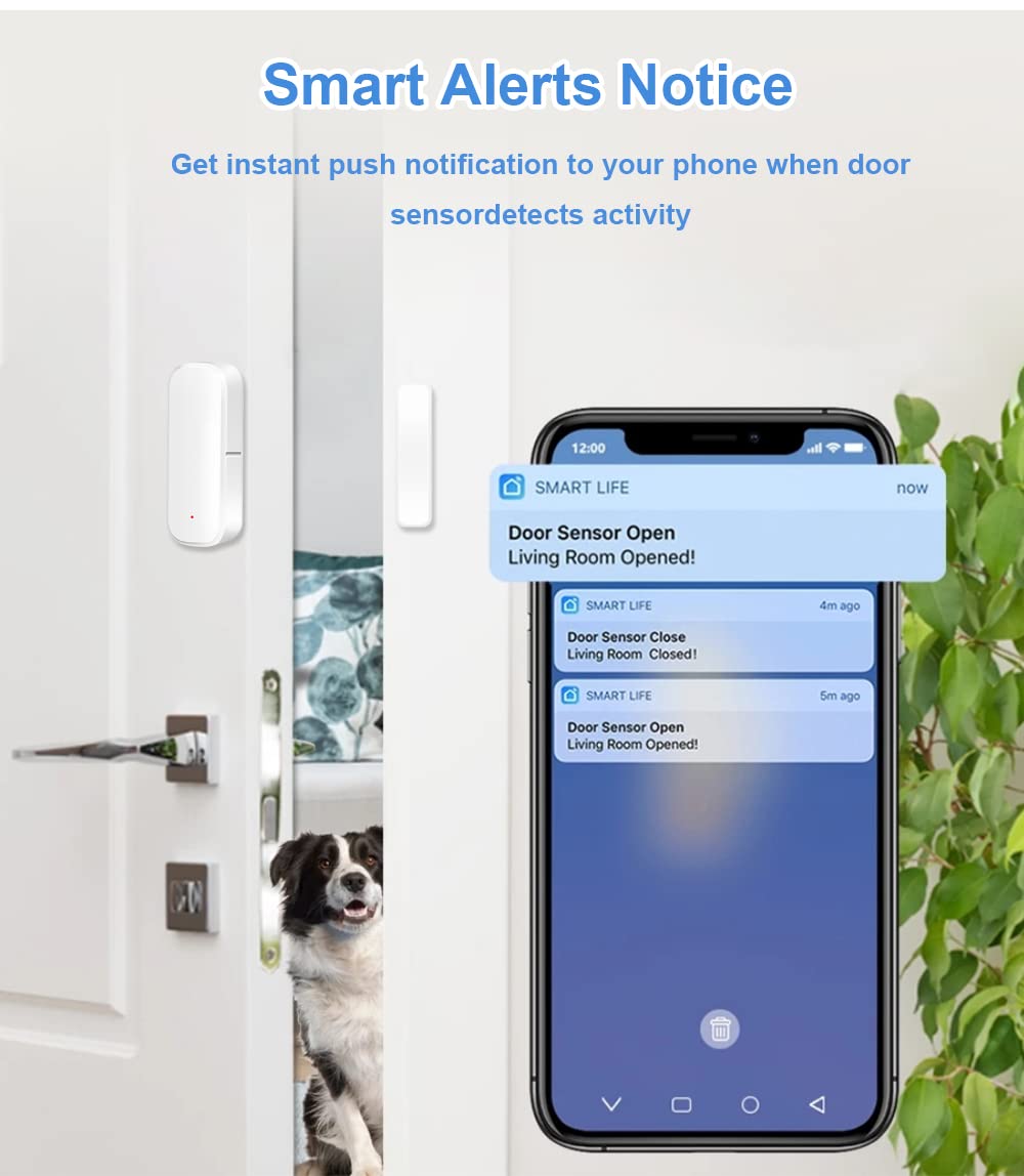HpLive für TUYA ZIGBEE Türsensor, für Tuya Alarm mit kostenlosen Benachrichtigungen und Sprachunterstützung, 24/7 Überwachung