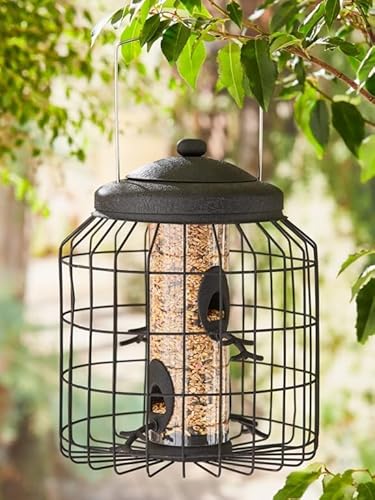 GH® Large Heavy Duty Squirrel Proof Bird Feeder for Wild Seed Feed Mix Outdoor Hanging Strong Galvanised Brown Metal Cage to Deter Squirrels & Large Birds Allows Small Birds to Feed Safely
