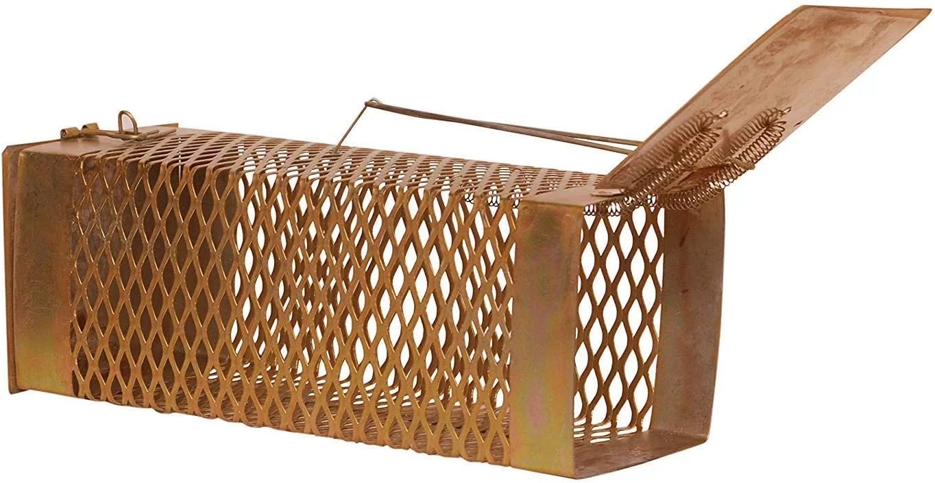 Rat/Mouse/Rodent Trap Cage Rustic Copper (BHARFI Trap)