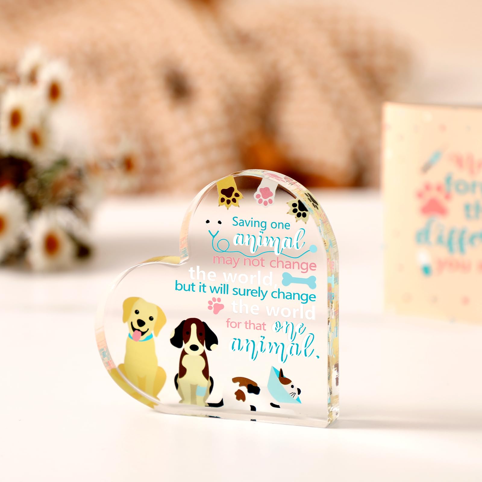 Veterinarian Gift Vet Paperweight with Gift Box and Card Vet Gift Acrylic Paper Weight for Veterinary Day Vet Tech Week Vet Tech Gift Idea Table Decoration Centerpiece Christmas Gift for Dog Cat Lover