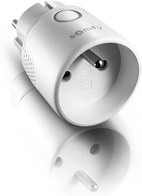 somfy 1822617 – Prise ON/OFF Io Intérieure Type E | Compatible App TaHoma