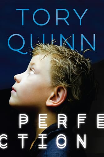 Perfection view 2
