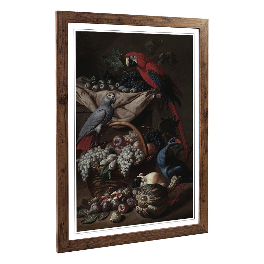 Big Box Art Framed Print of Melchior d'Hondecoeter Parrots Design | Wall Art Picture | Home Decor for Kitchen, Living, Dining Room, Bedroom, Hallway, Office, Walnut, A2 / 24.5x18 Inch / 62x45cm