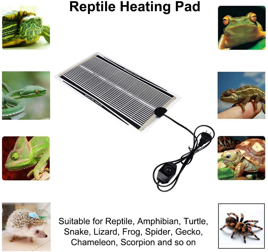 Alfombrilla térmica para reptiles 35W 110V con control de temperatura miniatura 2