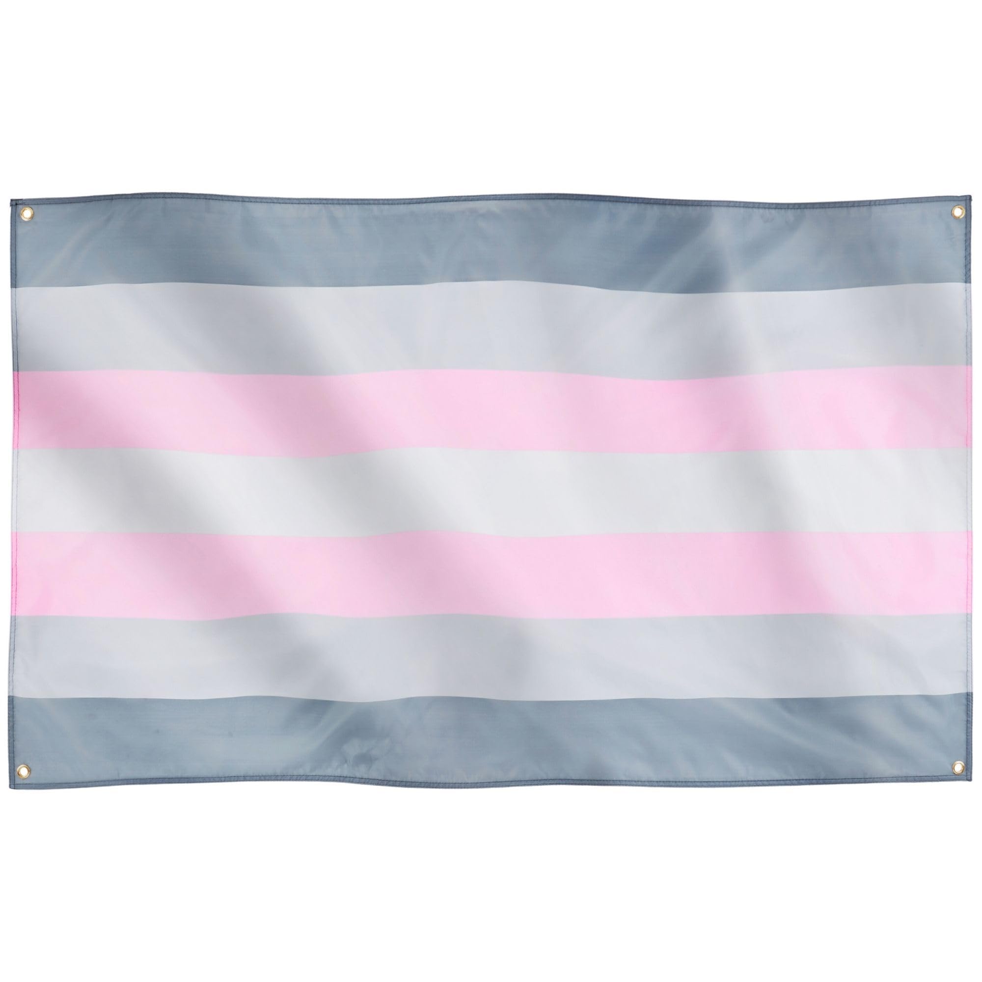 Runesol Demigirl Pride Flag - 91x152cm (3ft x 5ft) With 4 Grommets, LGBT+ Inside and Outside With Vivid Colours