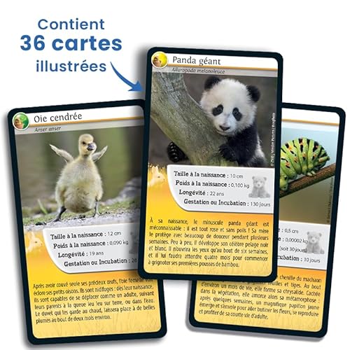 Jeu classique Bioviva Défis Nature Bébés animaux - vue 6