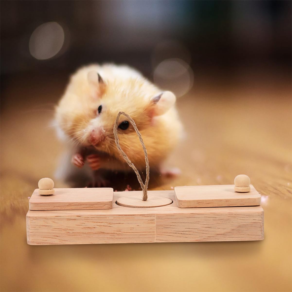 Milisten 2 Pièces Jouet de Découverte de Nourriture en Bois, pour Hamster