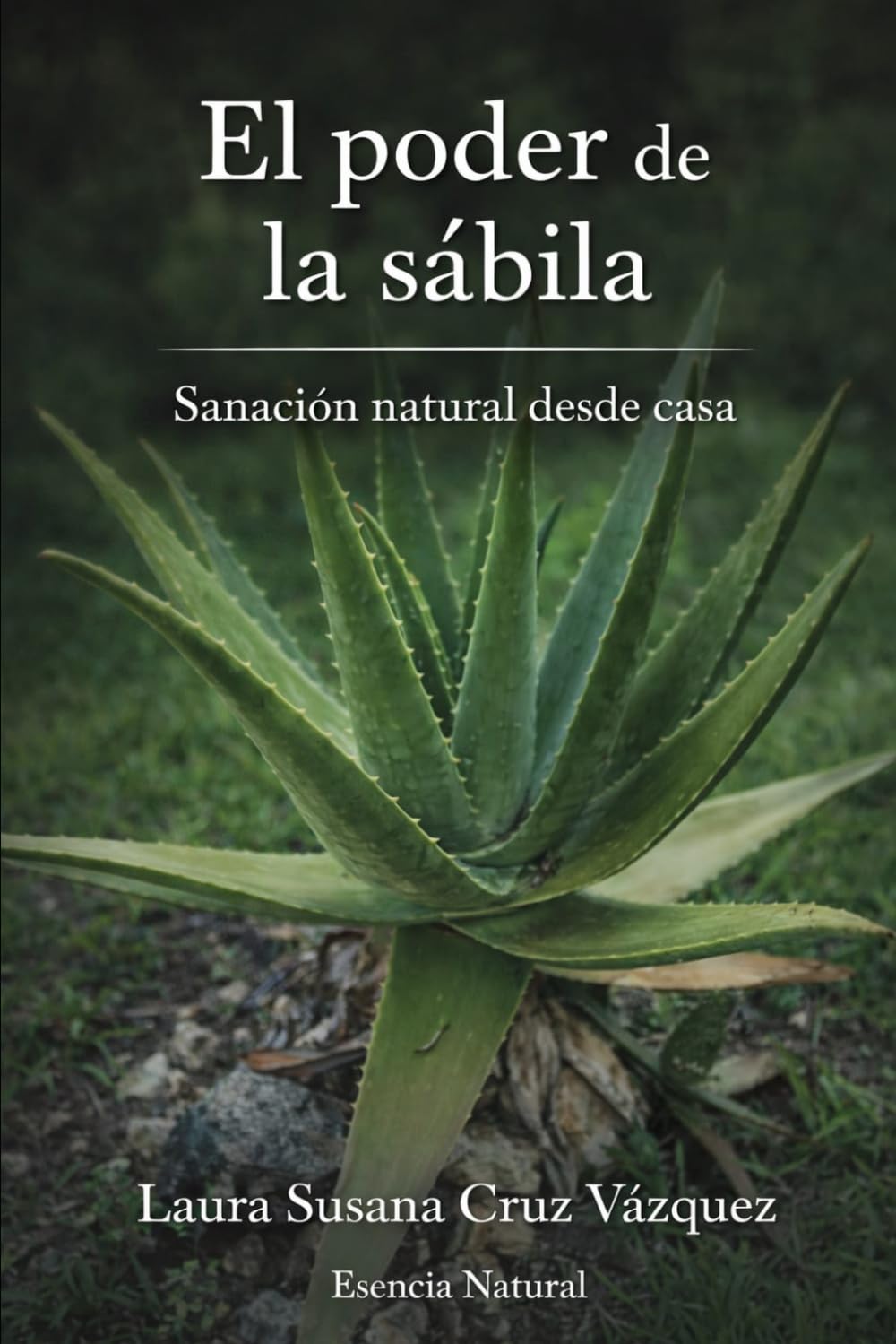 El poder de la sabila: Sanación natural desde casa